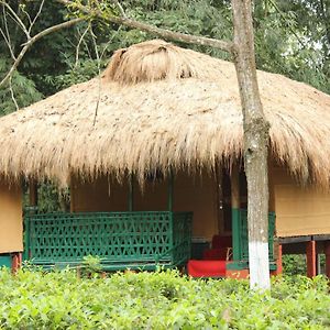 Nature Hunt Eco Camp